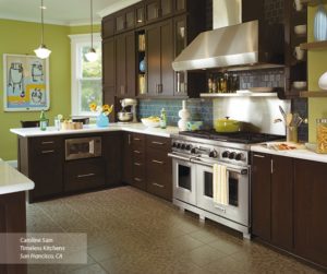 Omega Pinnacle Cabinets shaker_style_cabinets_contemporary_kitchen