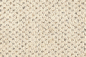 Photo of Mohawk Portico Collection carpet