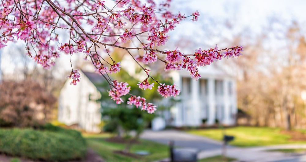 Builders-Say-Demand-Picked-Up-February-as-Spring-Selling-Season-Begins