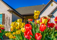 03-2026 BTIG Blog Hero Image